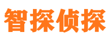 定陶市调查取证